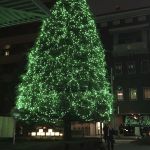 IMG_2479.jpg