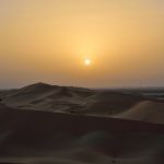DSC_4798.JPG